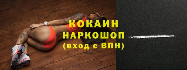 дживик Дмитриев