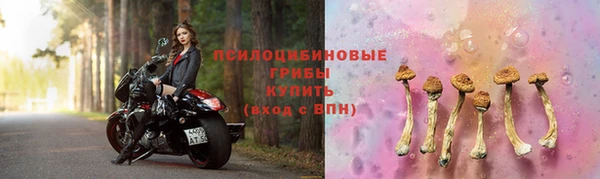 ГАЛЛЮЦИНОГЕННЫЕ ГРИБЫ Дмитров