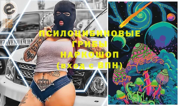 дживик Дмитриев
