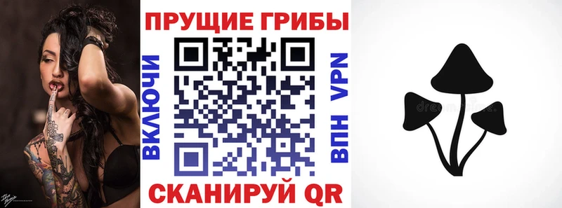 Купить  Сортавала  Псилоцибиновые грибы мухоморы 